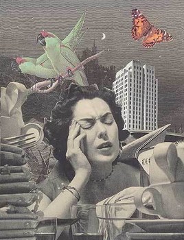 tapones para los oidos